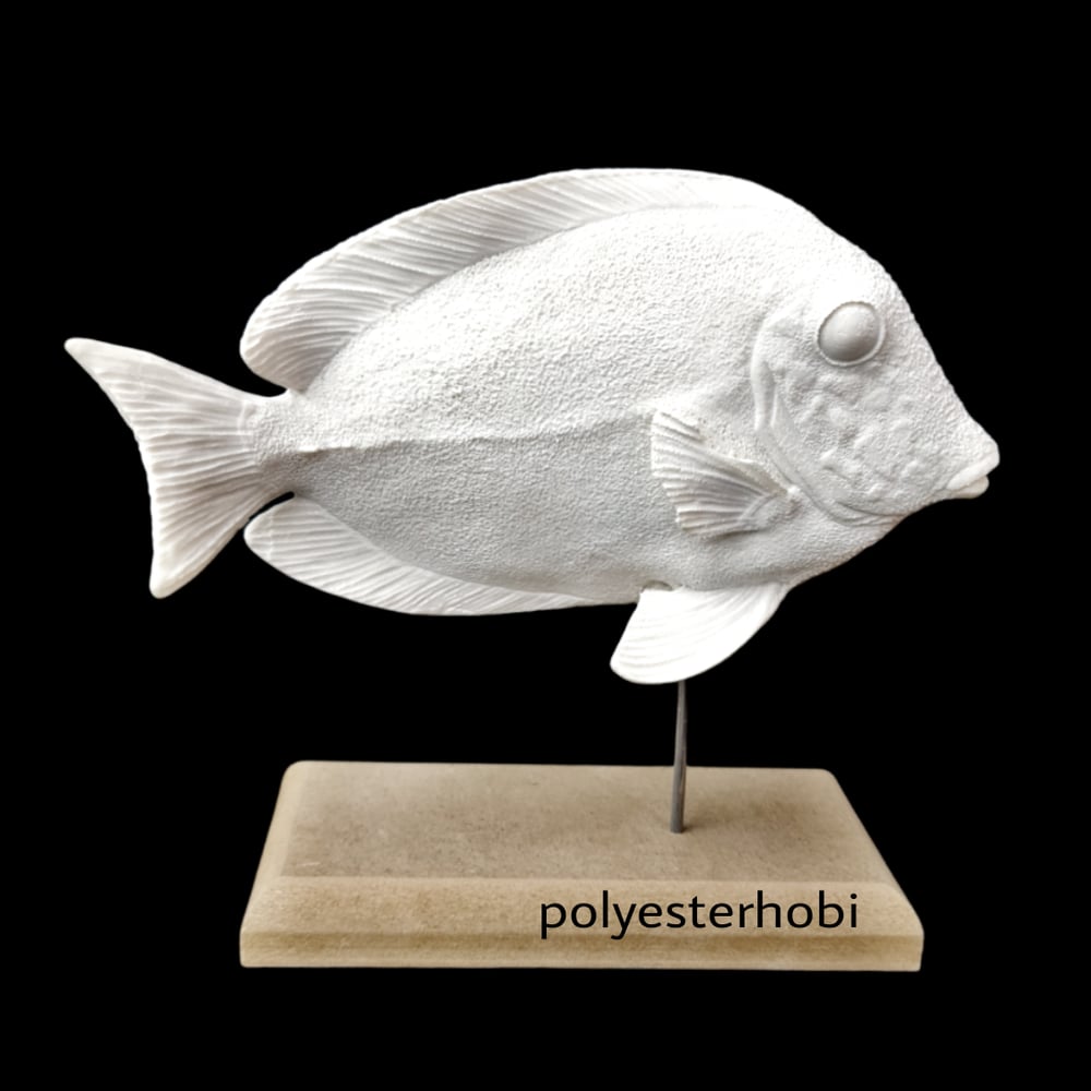 ob-1483-ayakli-dokulu-balik-ham-polyes-4c70-a.png