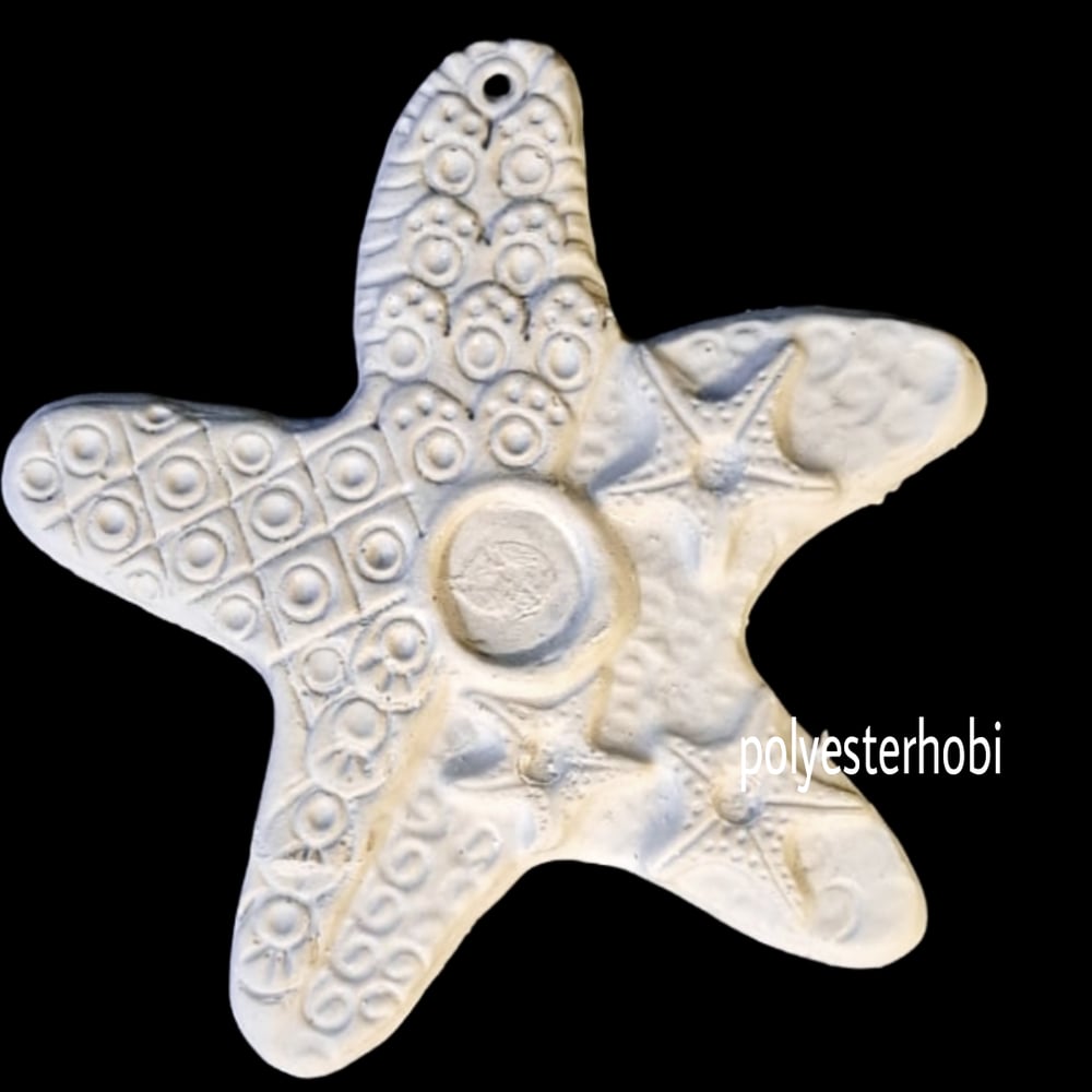 ob-1639-deniz-yildizi-buyuk-boy-asilab-bfe8-3.png