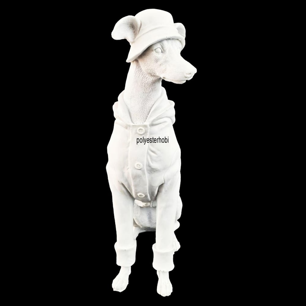 OB 2179 - Yağmurluklu Köpek Ham Polyester Masaüstü Obje