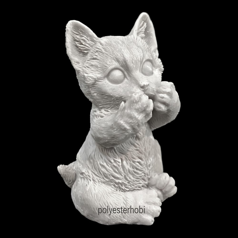 ob-2275-sevimli-dua-eden-kedi-ham-poly-8e134a.jpg