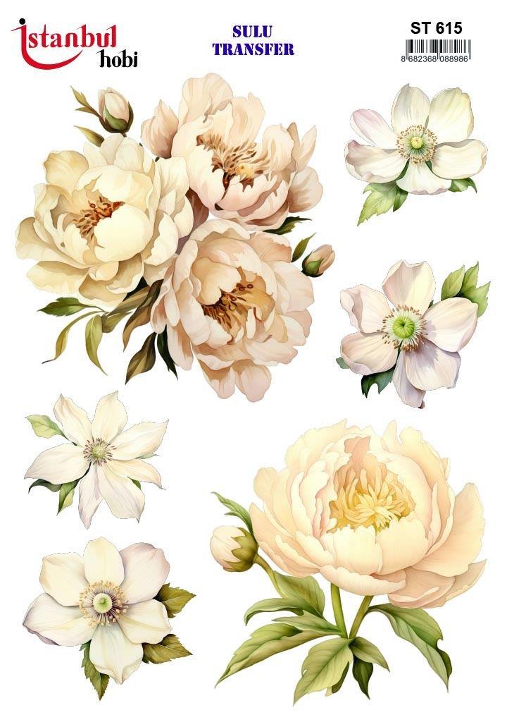 su-615-sulu-transfer--6747e.jpg