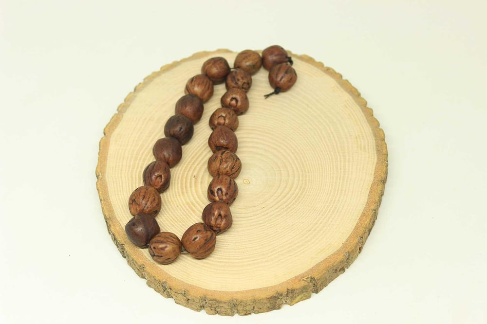 Andız Ağacı 17lik Efe Tesbih 13*13mm (25590)