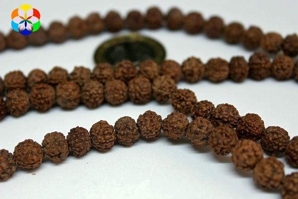 Rudrashka Tohum Dizi 12mm (Mala yapımı için) 108 lik