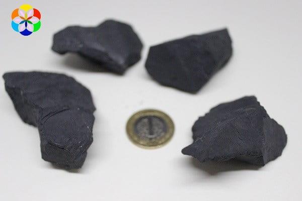 Shungite (Şungit) Taşı Ham Parça (60-69 gram)