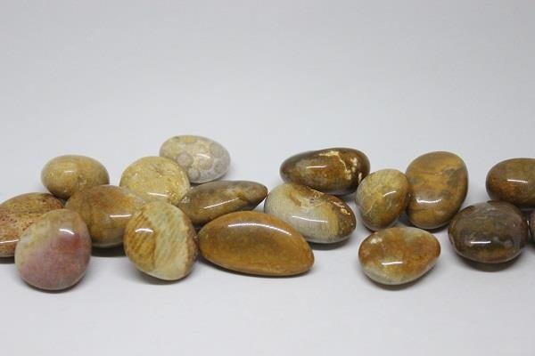 Tibet Akik Taşı ( 10-19 Gram)