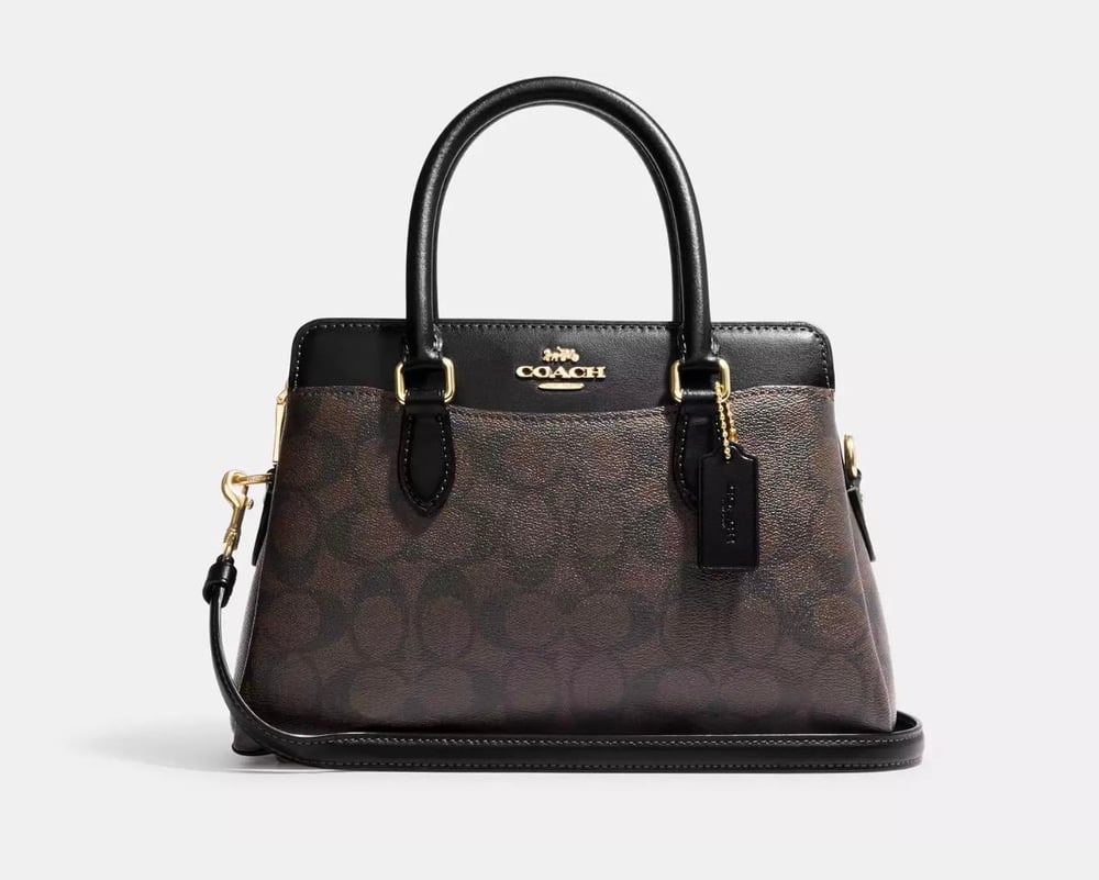 Mini Darcie Canvas Çanta