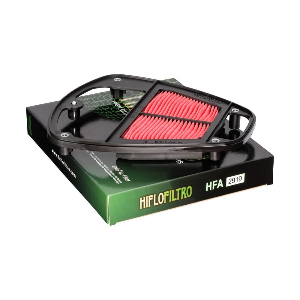 Hiflo Kawasaki VN900 Vulcan 06-22 Hava Filtresi HFA2919
