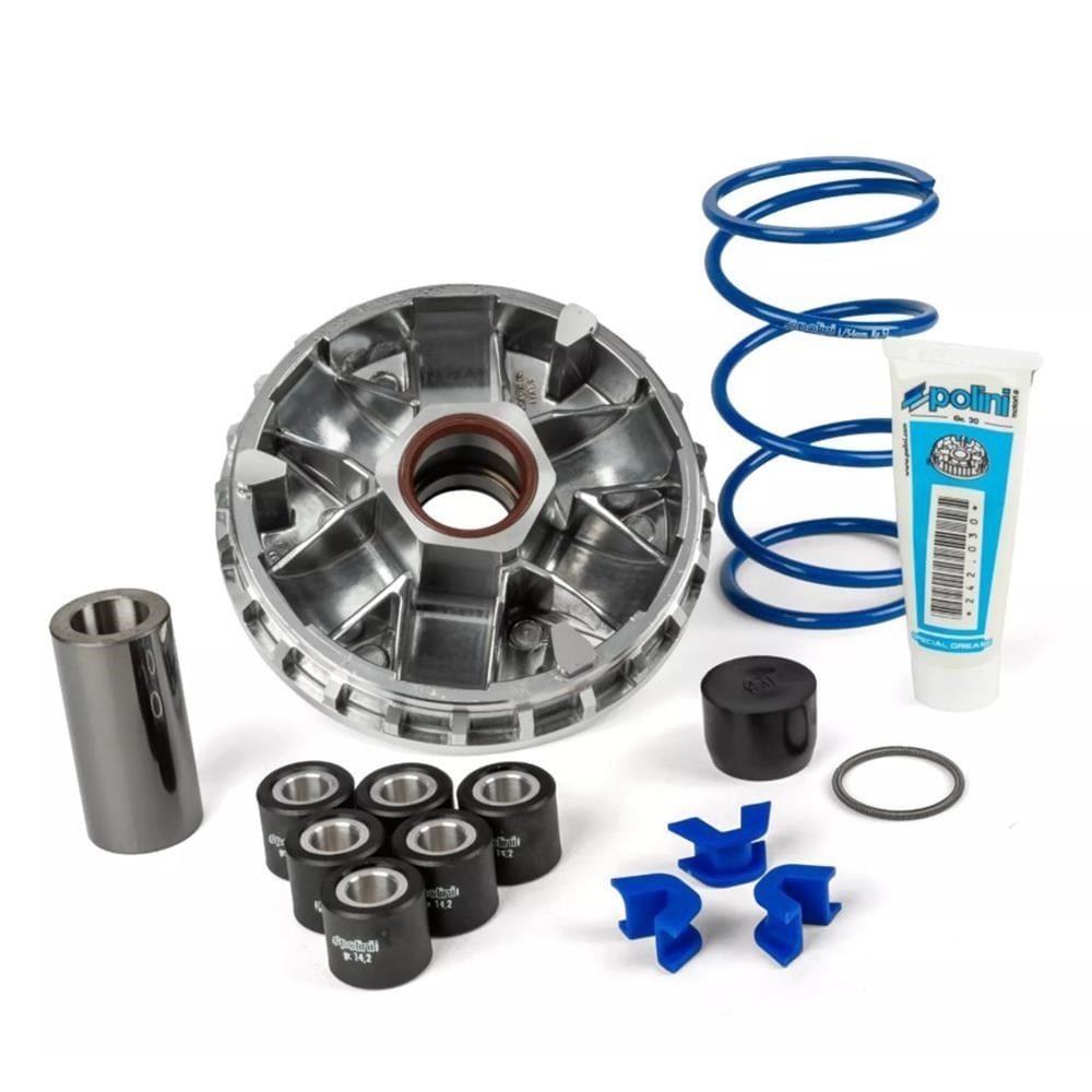 Polini Performans Varyator Set SYM Scooter E5/E5+ 241.769