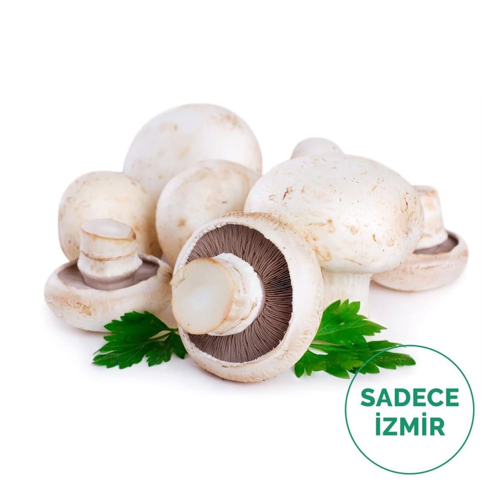 Kültür Mantarı (500Gr)