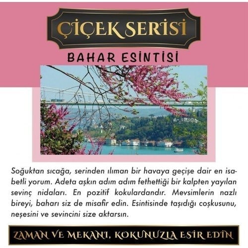Koku Hanem Toptan Meczub Çiçek Serisi Bahar Esintisi 10 Adet 8 ml Silindir Şişe Oto Kokusu Araç Araba Parfümü