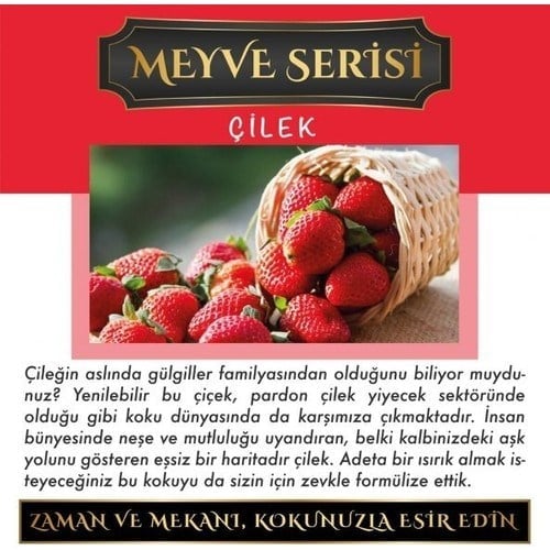 Koku Hanem Toptan Meczub Meyve Serisi Çilek 10 Adet 10 ml Üçgen Şişe Oto Kokusu Araç Araba Parfümü
