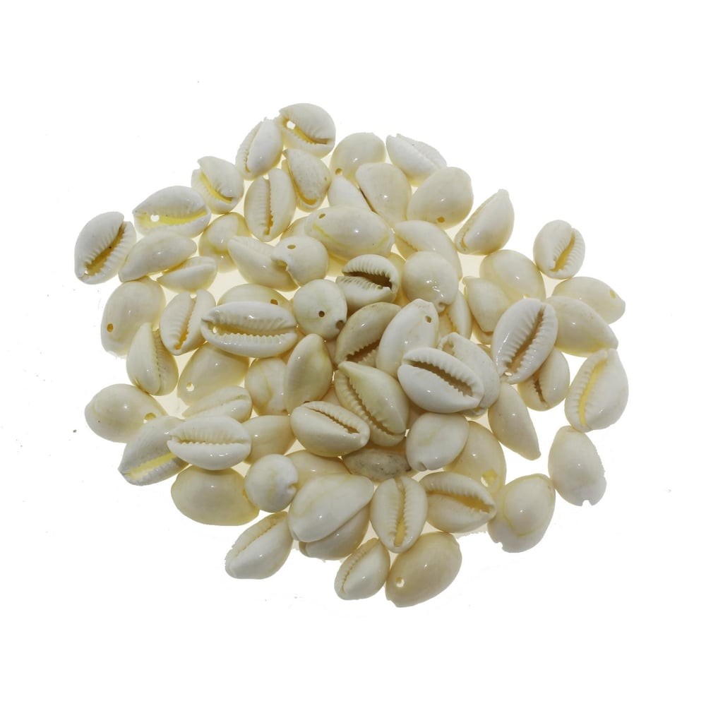 100gr Annulus Deniz Kabuğu Delikli