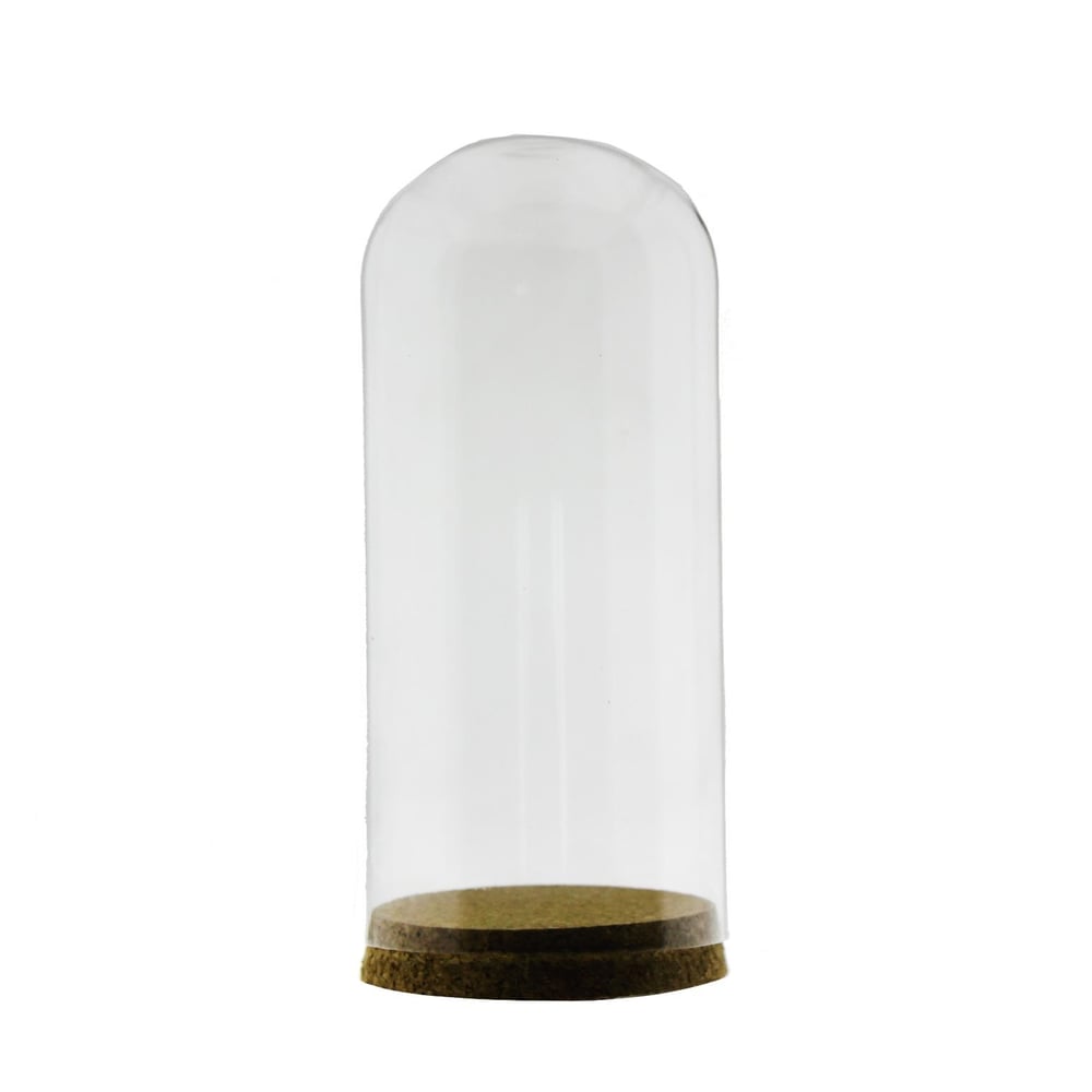20x9cm Cam Tüp Fanus Terrarium Şişe