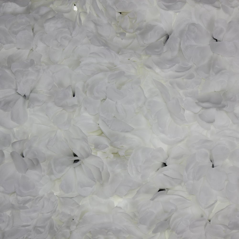 40x60cm Çiçek Panosu Panel (0,24m2) Şakayık Çiçekli