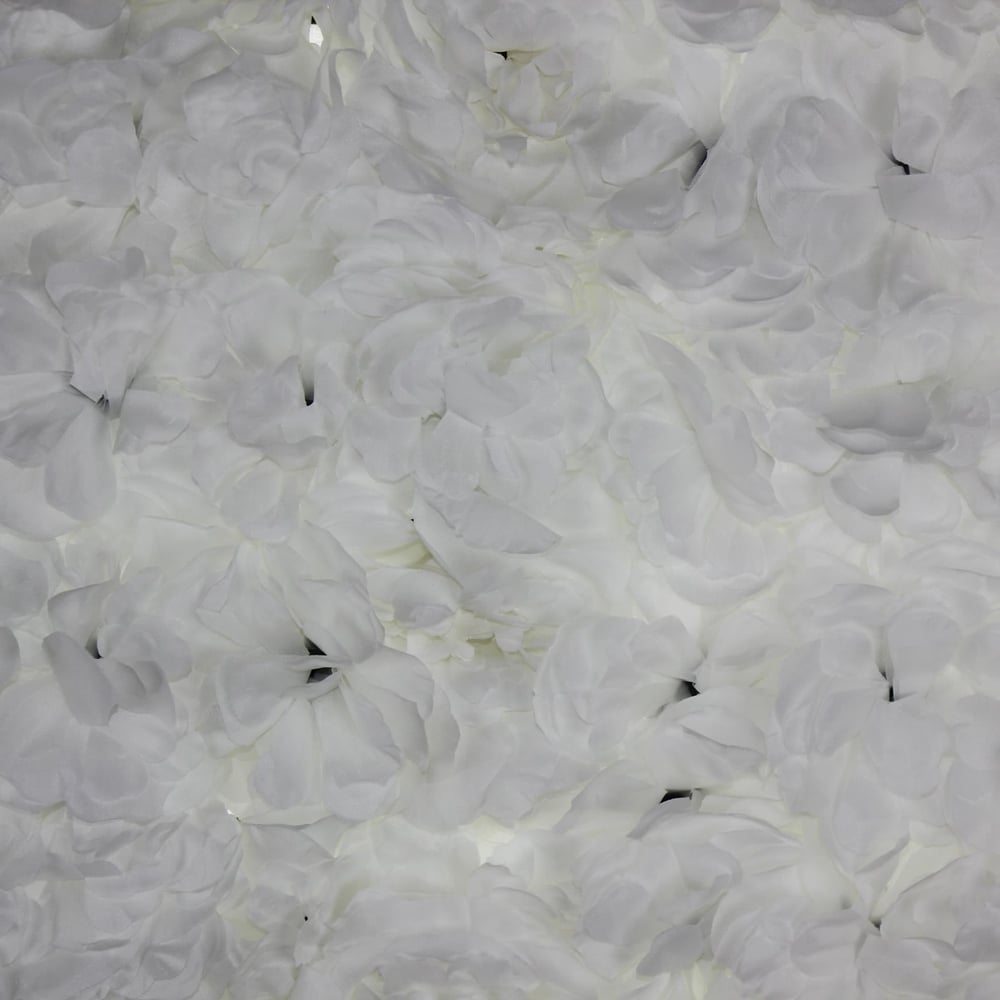 40x60cm Çiçek Panosu Panel (0,24m2) Şakayık Çiçekli