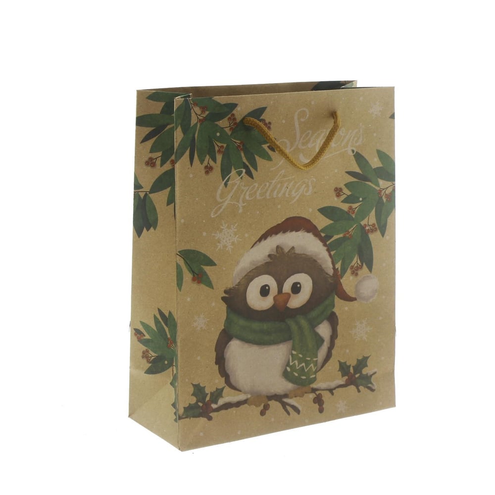 6 Adet 19x24cm Kraft Karton Çanta Baykuş