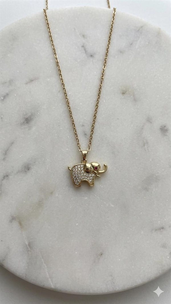 Çelik Kolye 45cm (Gold) 010874