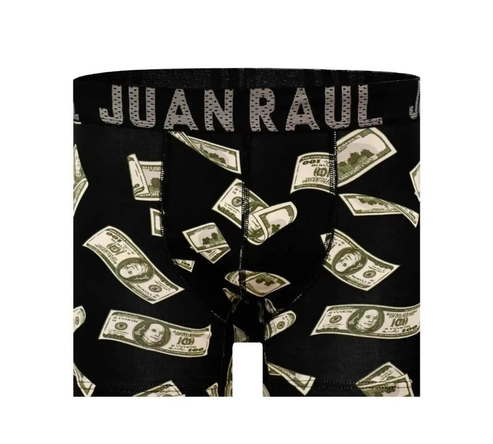 Dolar Baskılı Boxer