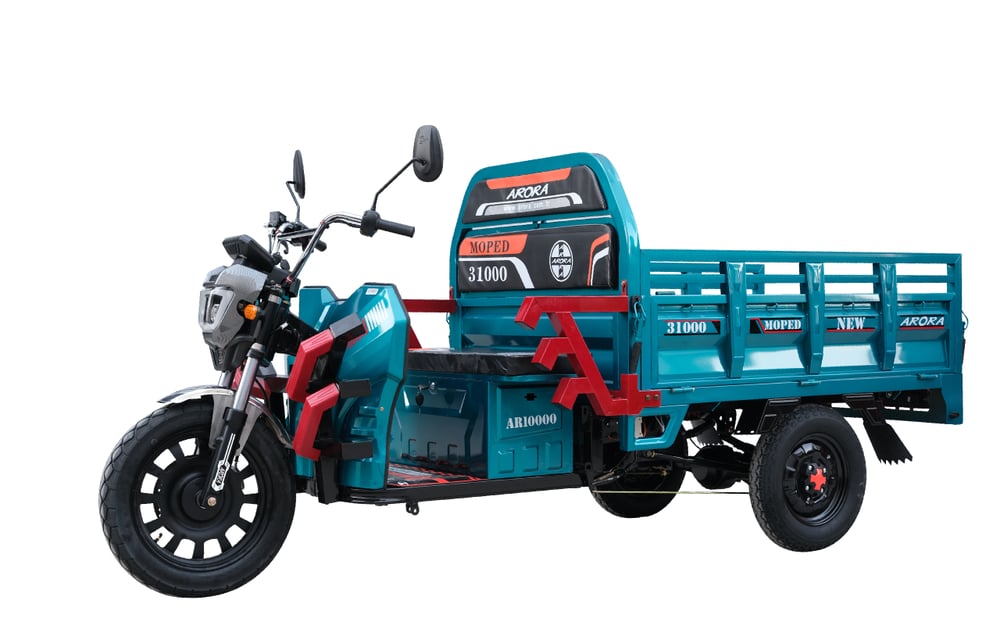 AR 1000 MOPED