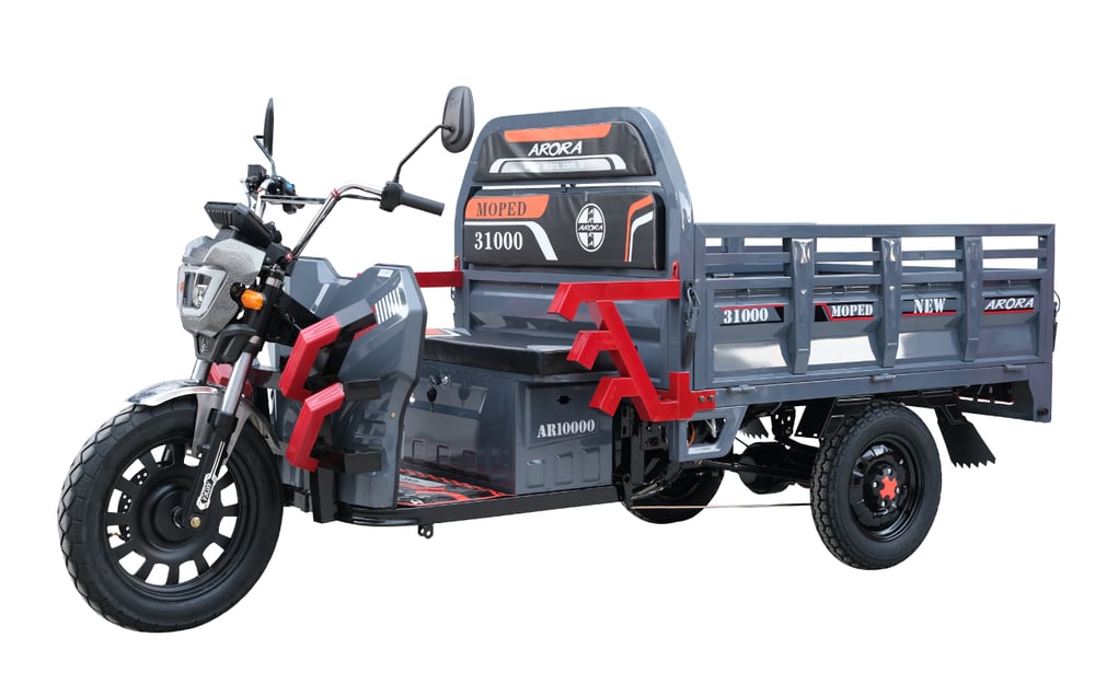 AR 1000 MOPED