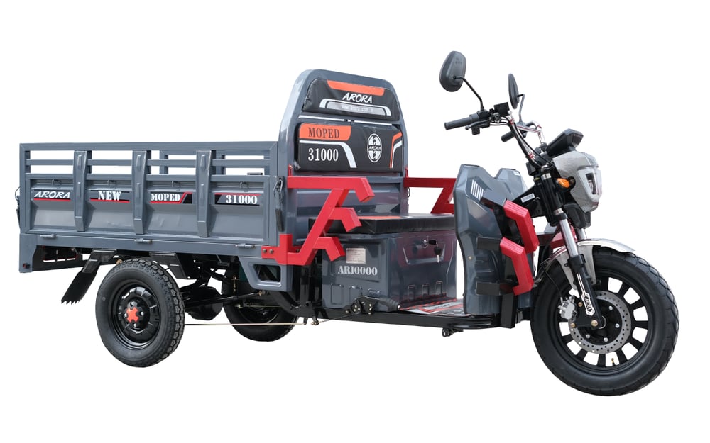AR 1000 MOPED
