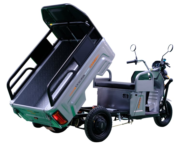 MINI CARGO