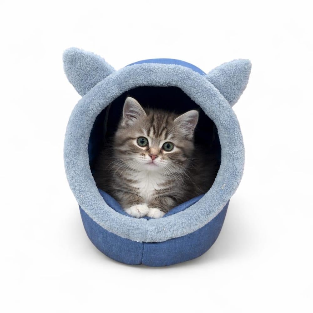 Kedi Evi Süngerli