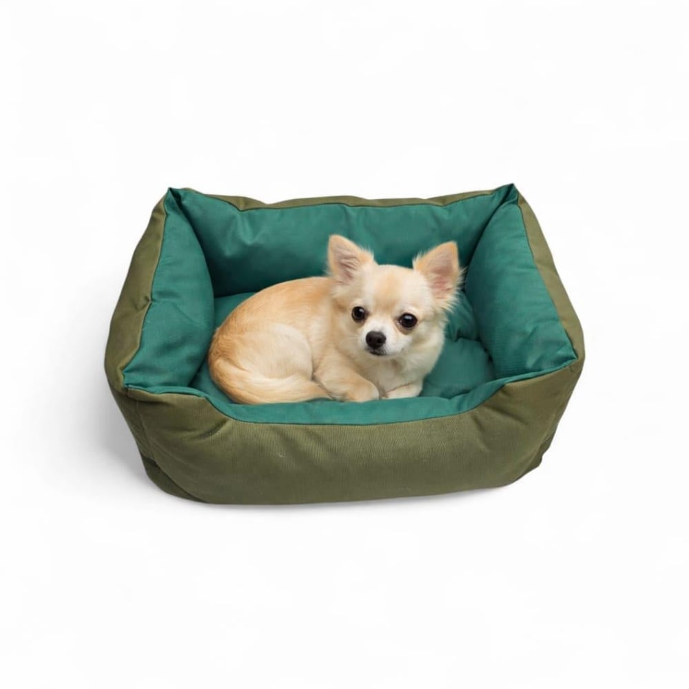 Pet Yatağı   Small