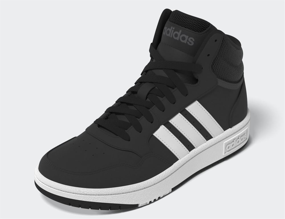 HOOPS 3.0 MID K