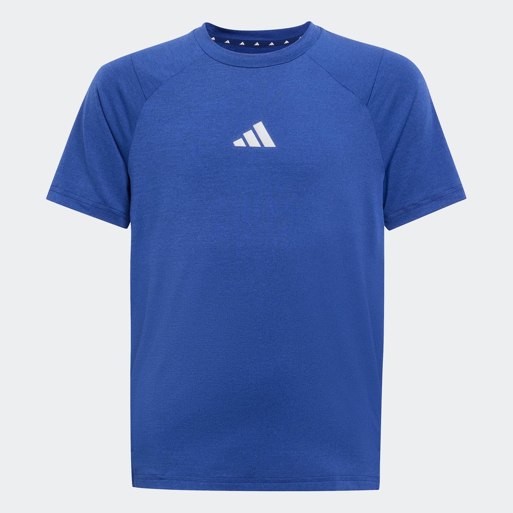J GT PZ TEE