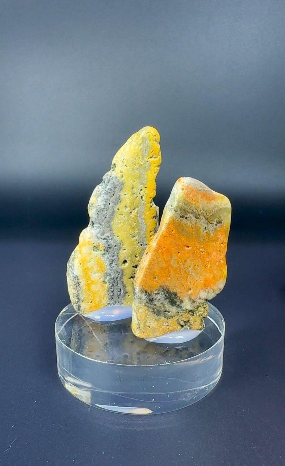 BUMBLEBEE JASPER 26 GR.