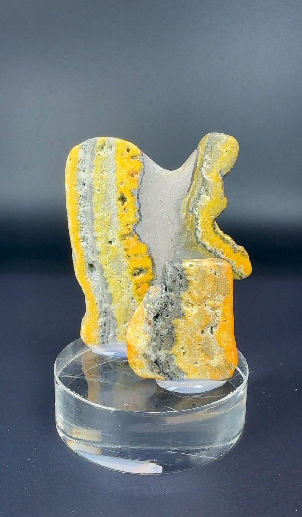 BUMBLEBEE JASPER 35 GR.