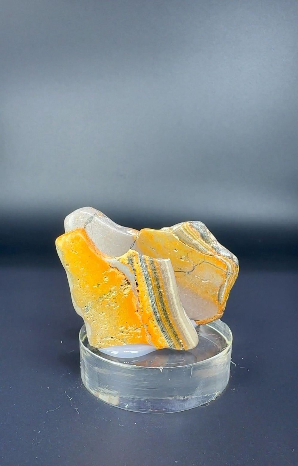 BUMBLEBEE JASPER 42 GR.