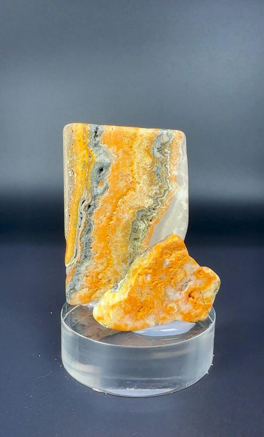 BUMBLEBEE JASPER 47 GR.