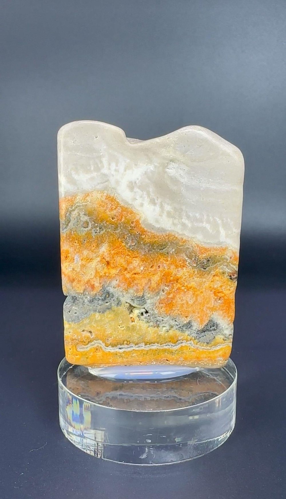 BUMBLEBEE JASPER 48 GR.