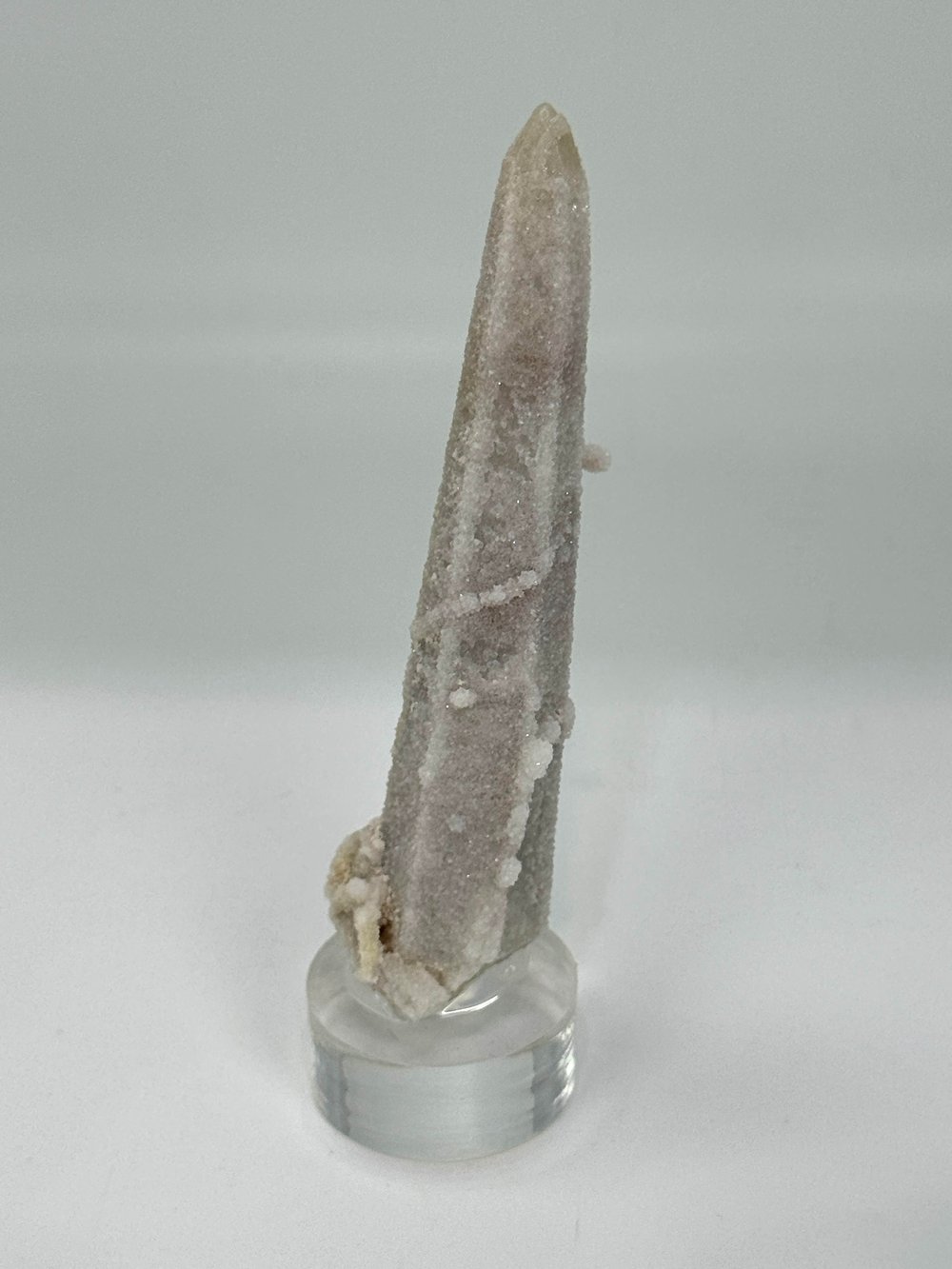 CADI PARMAĞI 96 GR.