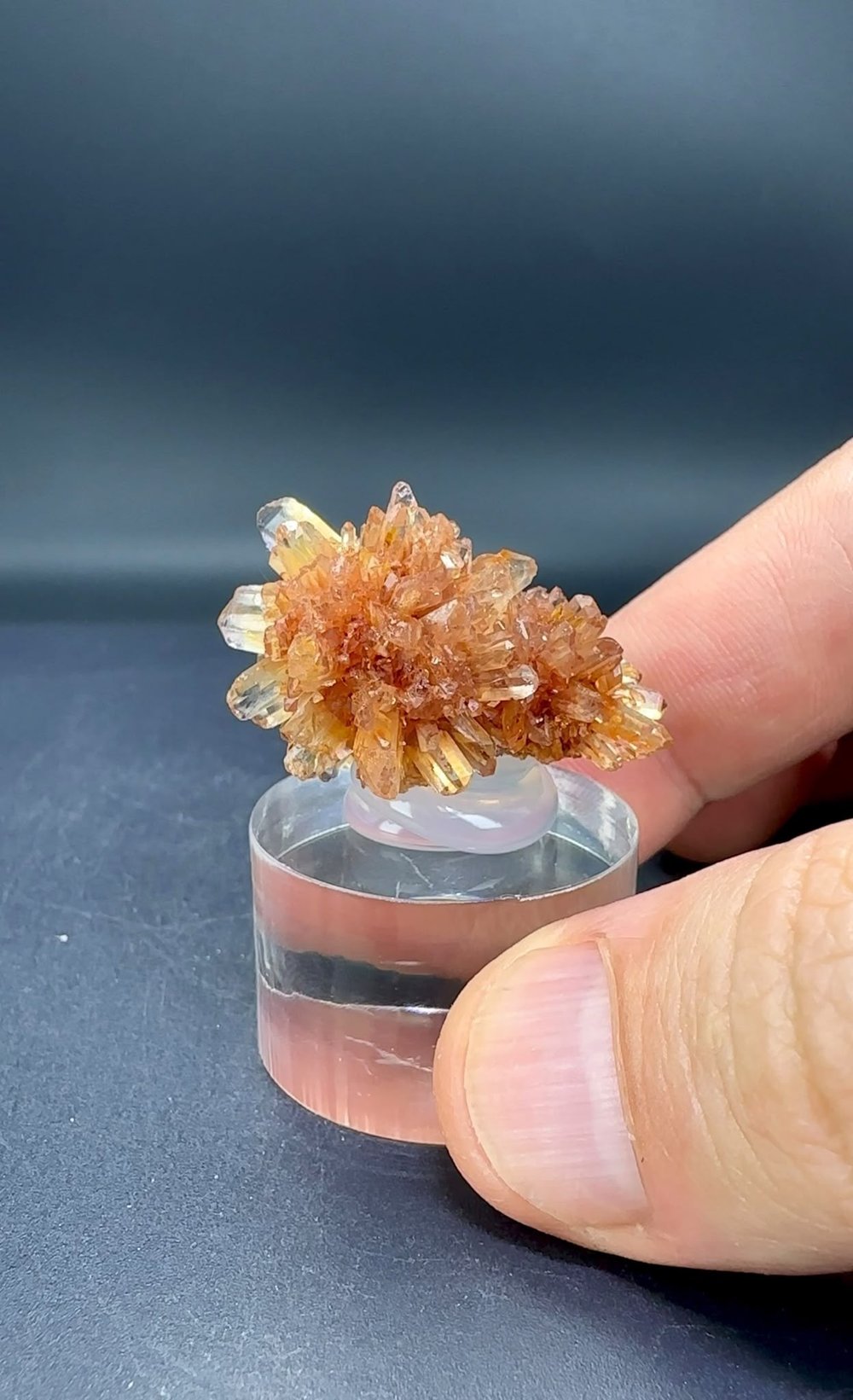 CREEDITE 11 GR.