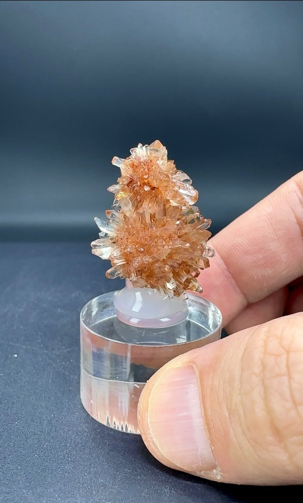 CREEDITE 13 GR.