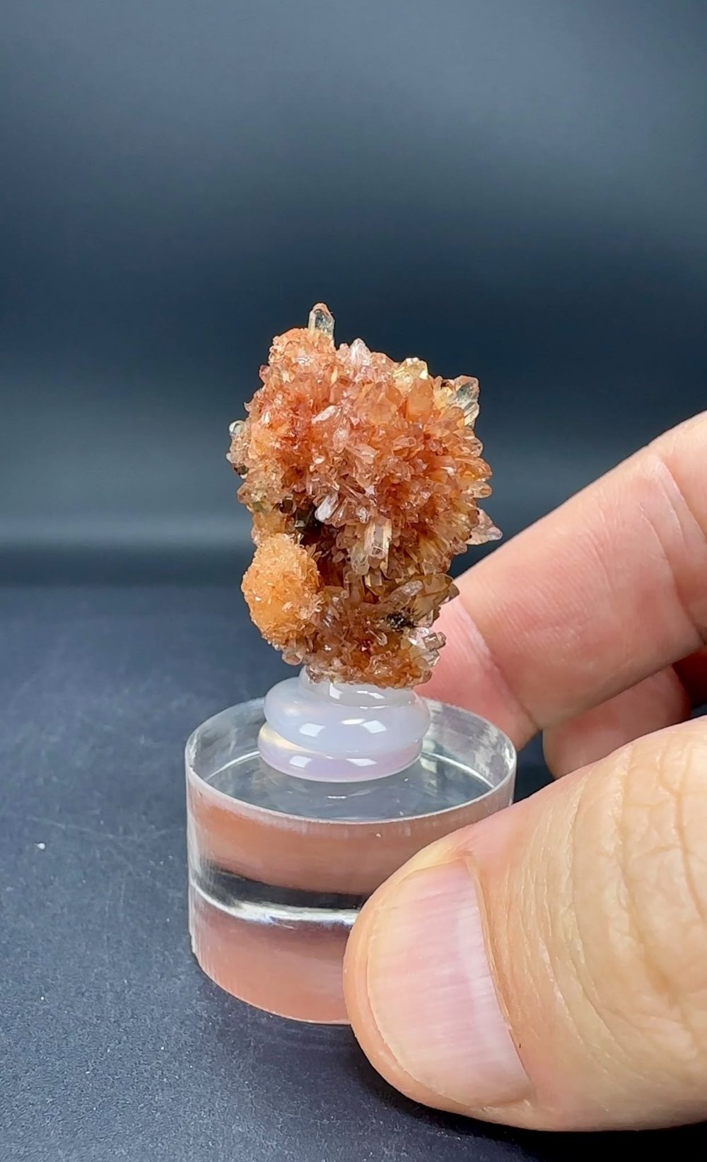 CREEDITE 14 GR.