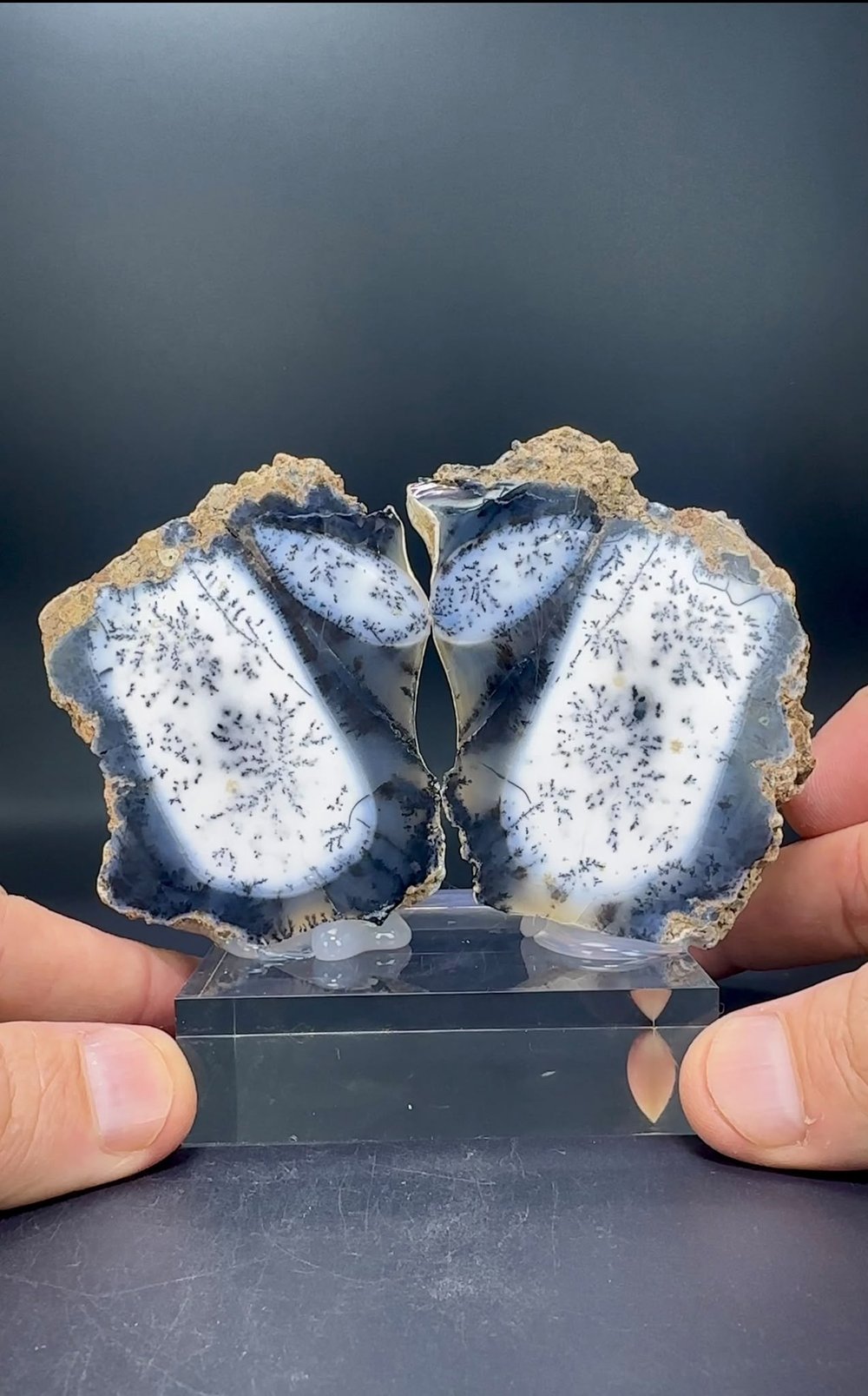 DENDRİTİK BEYAZ OPAL 290 GR.