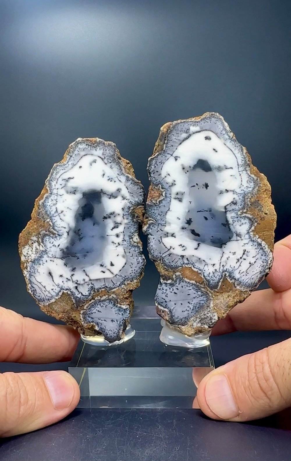 DENDRİTİK BEYAZ OPAL 342 GR.