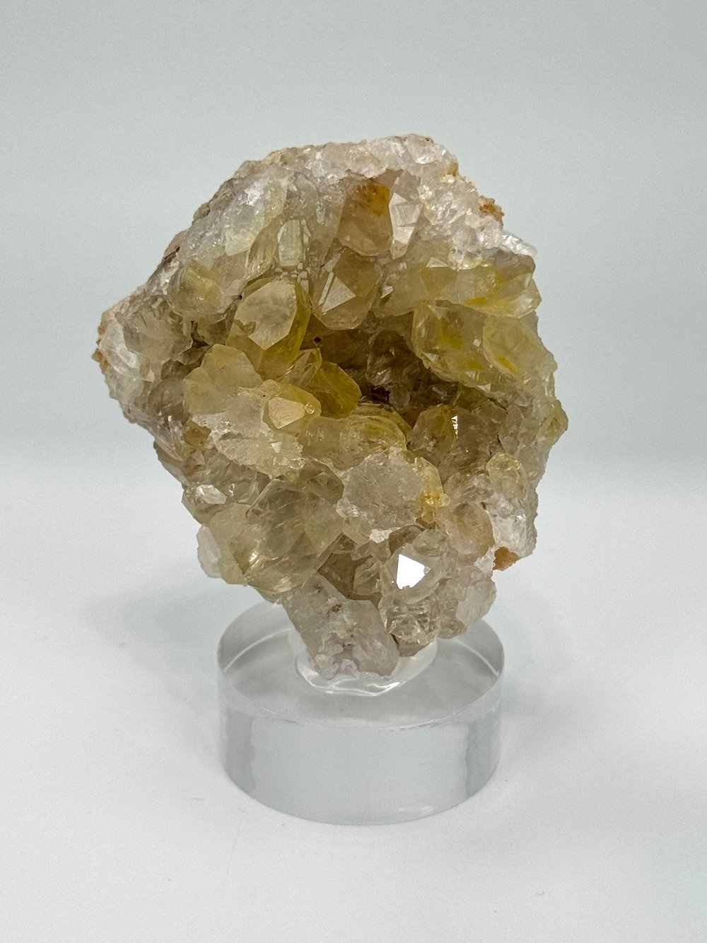 GOLDEN HEALER KUVARS 90 GR.