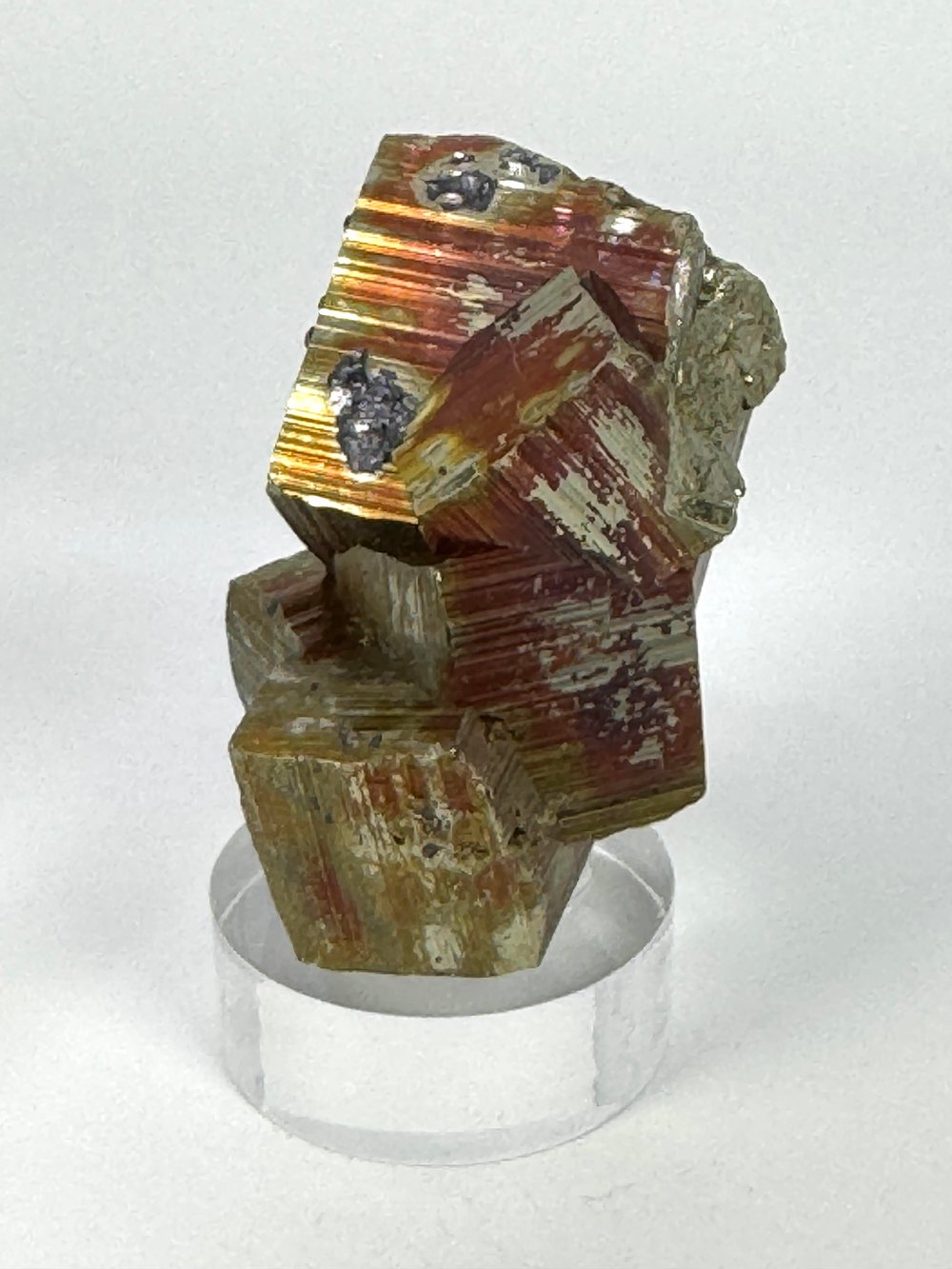 KIRMIZI PİRİT 242,5 GR.