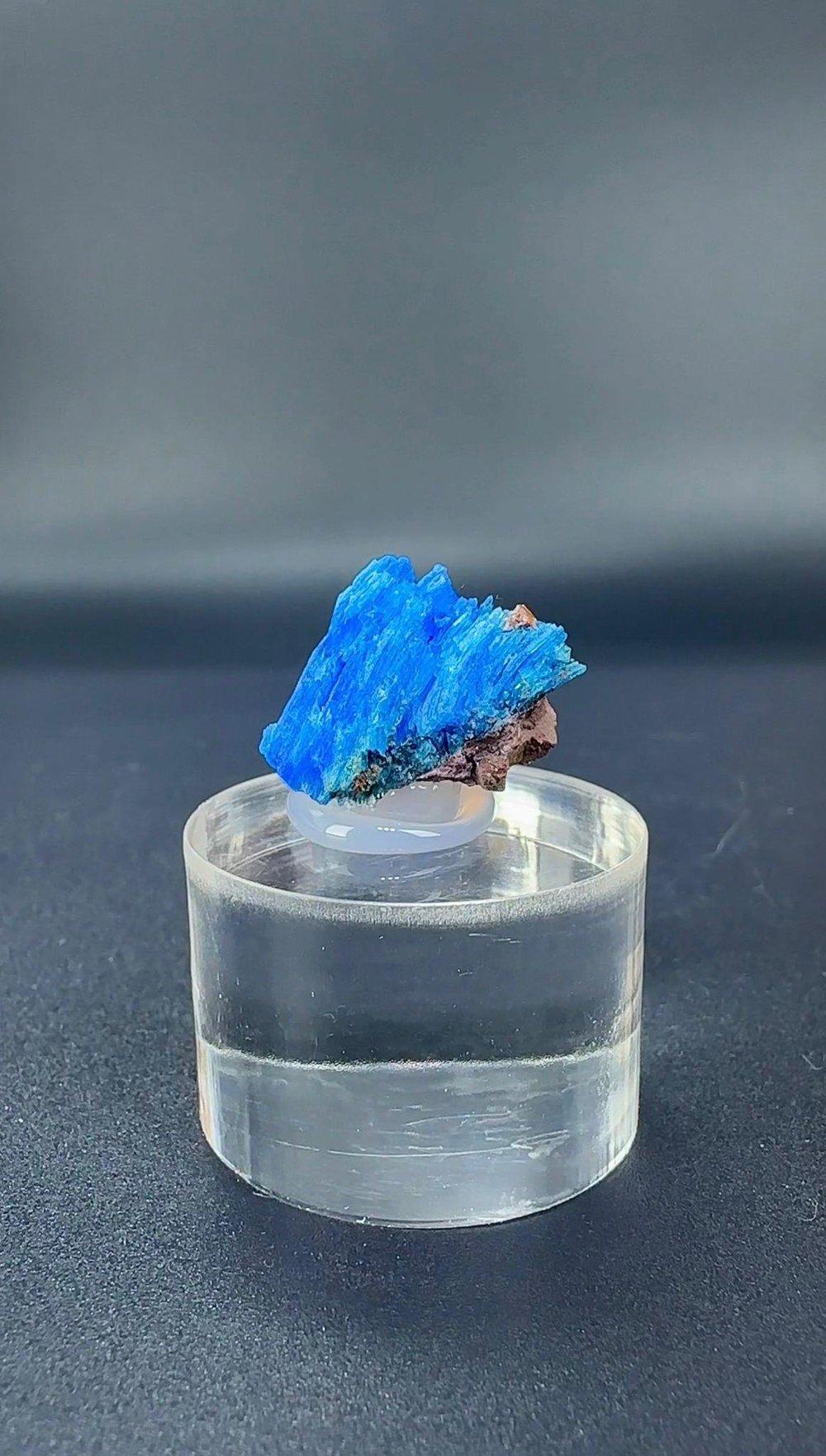 NEON MAVİ KALKANTİT 3,5 GR.