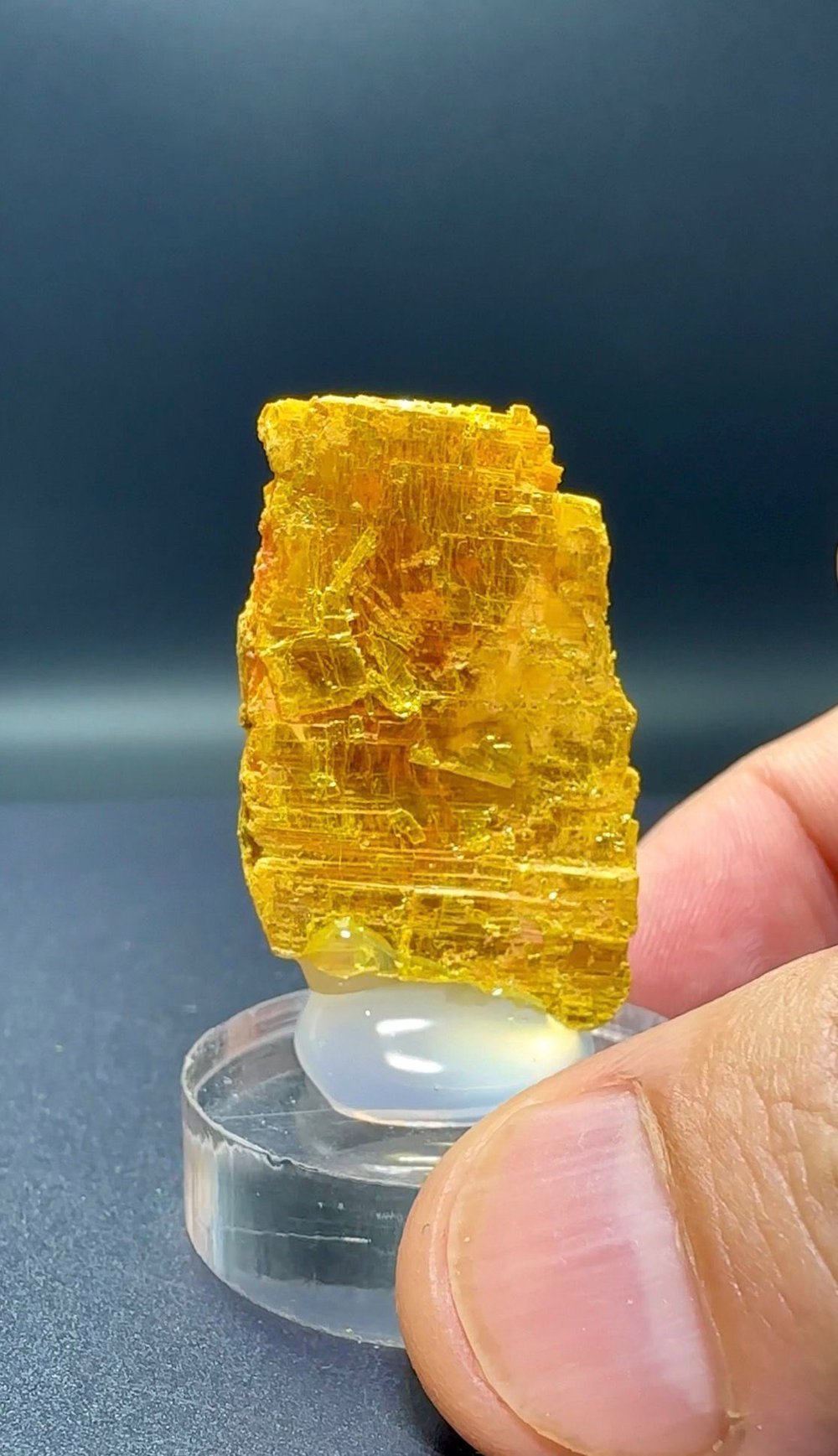 ORPIMENT 10 GR.