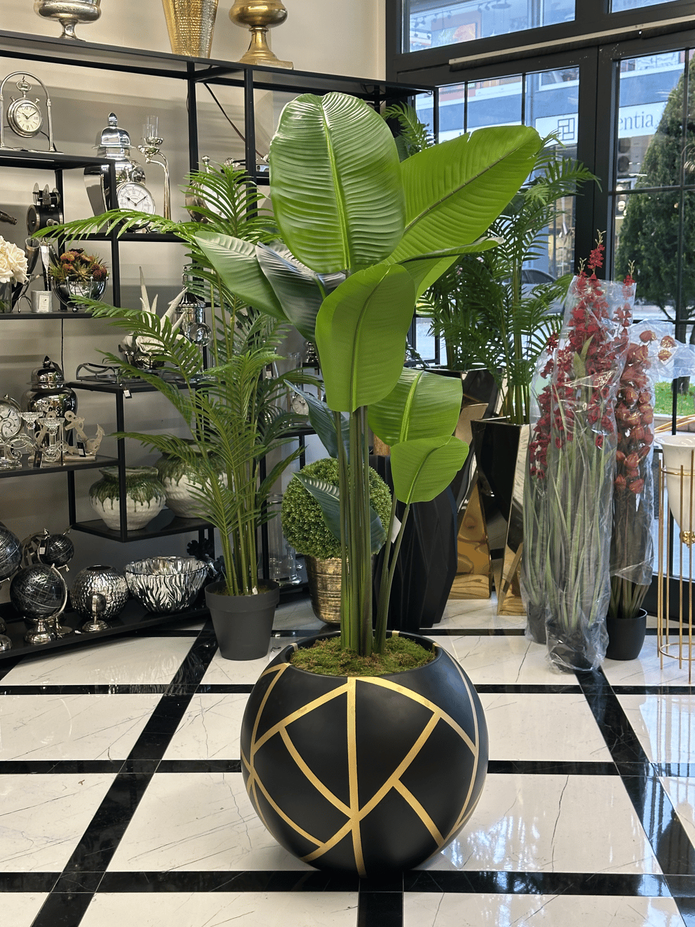 Siyah Fiber Saksıda Çiçek Arajmanı