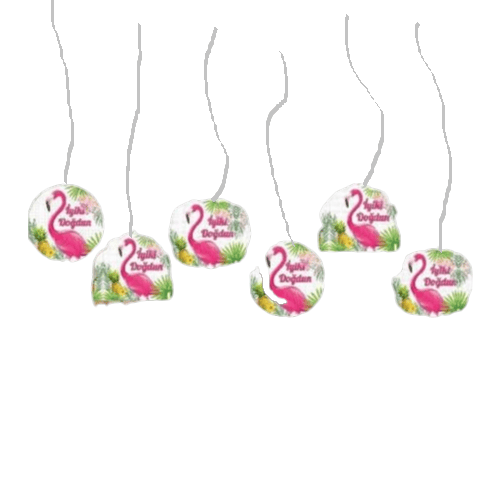 flamingo-iyi-ki-dogdun-tavan-sarkit-su-1f474-.png