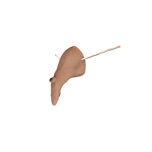halloween-cadi-burnu-0-0e6f.png