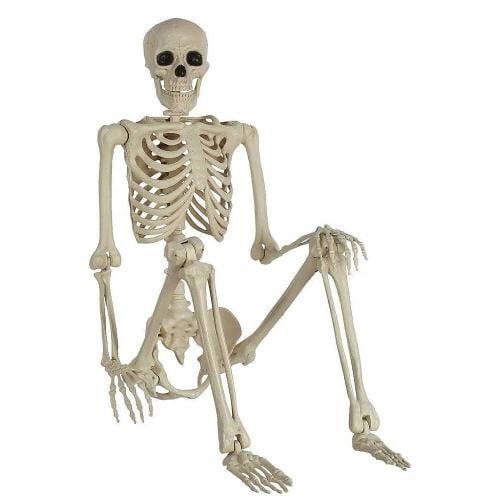 halloween-iskelet-90-cm-852-8d.jpg