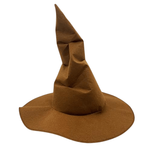 harry-potter-secmen-sapka-319f1d.png